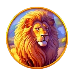Lion
Safari